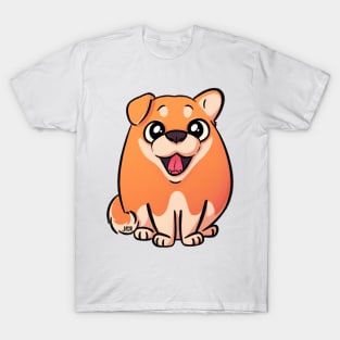 Winter Shiba T-Shirt